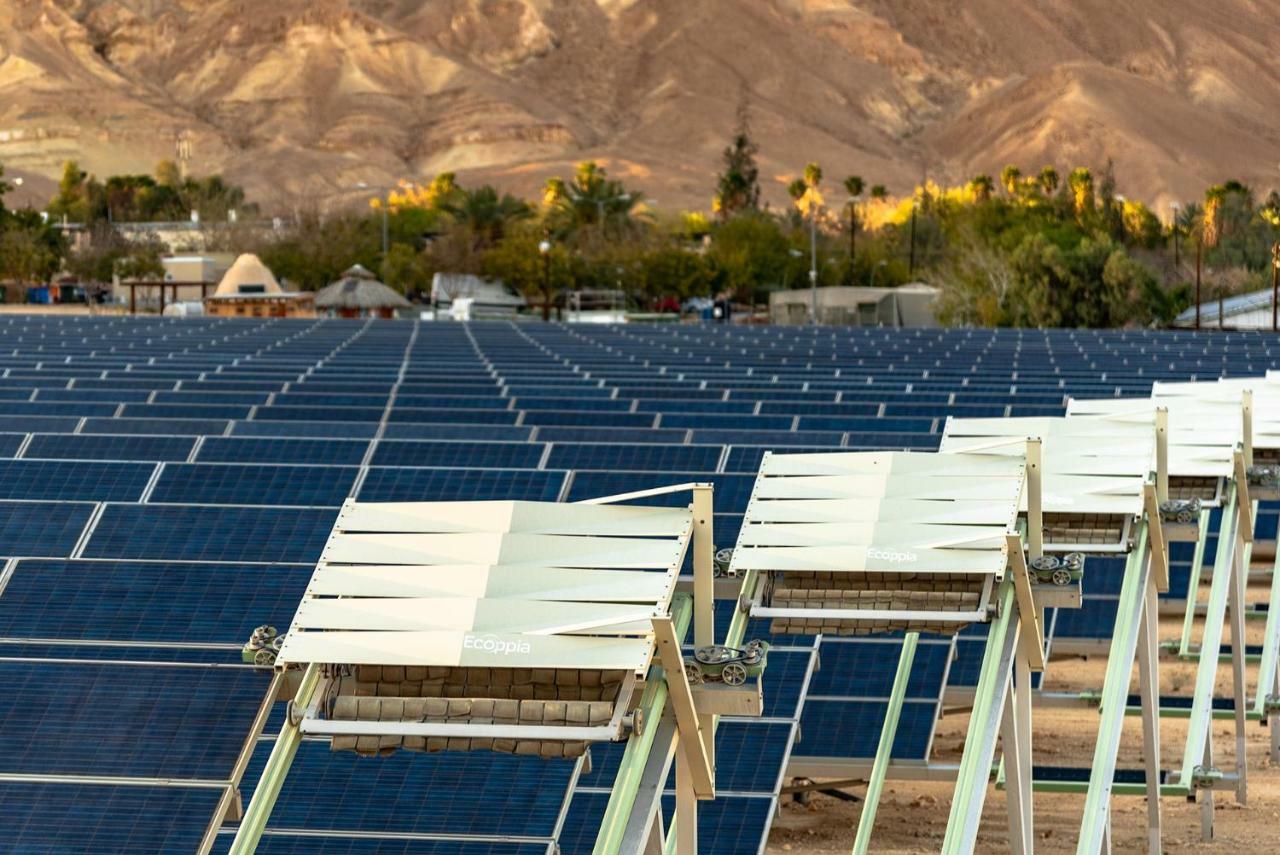 Kibbutz Ketura Guest House Nahal Ya'alon المظهر الخارجي الصورة
