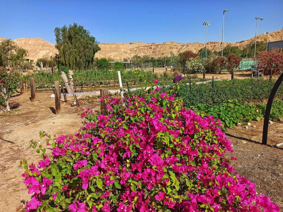 Kibbutz Ketura Guest House Nahal Ya'alon المظهر الخارجي الصورة